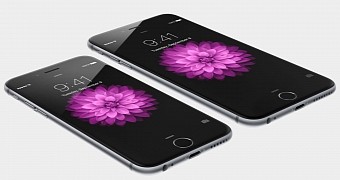 iPhone 6 versus iPhone 6 Plus