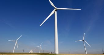 The taller a wind turbine is, the more birds it kills, researchers find