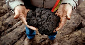 Study links oil-sands operations to mercury pollution