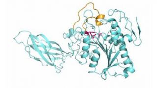 Experts find that a molecular switch can make lypase enzymes work 300 percent more effectively