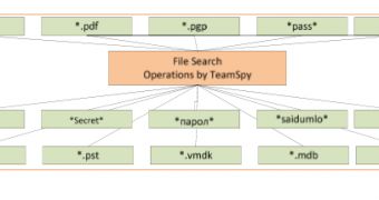 File types targeted by TeamSpy