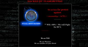 TGH defaces websites in ACTA protest