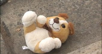 Teddy Bear Bomb Found in the Middle of the Road