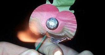 Posting a picture of a burning poppy got one British teen arrested