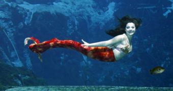 Being a mermaid is an actual job in Weeki Wachee, US
