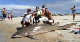Matt Sechrist brought to shore an 8-foot (2.5-meter) shark
