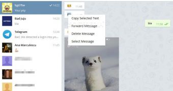 Telegram Desktop Review – Privacy-Driven and Cross-Platform IM with Data Sync