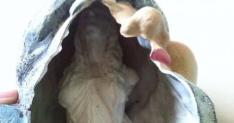 Heather Andrews was surprised to realize a beautiful figure was hiding inside her gnome