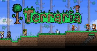 Terraria is out soon