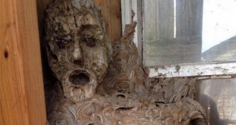 This scary hornets' nest looks like an eerie creature with human face