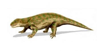 Tetrapods Used Only Their Front Limbs for Locomotion