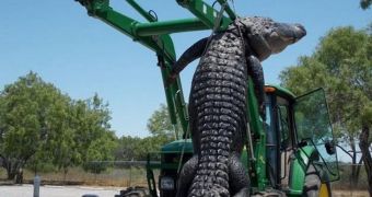High-school student lands 800-pound (363 kg) gator in Texas