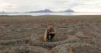 Thawing Permafrost Releases Greenhouse Gases via Plants