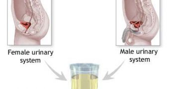 The Analysis of Your Urine Tells Where You Are From