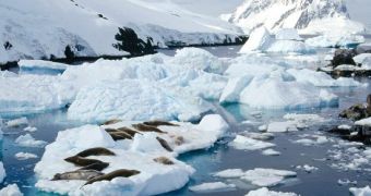 The Antarctic Peninsula's Summer Melt Season Is Getting Increasingly Longer
