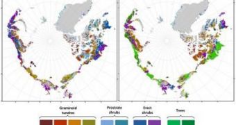 New study warns the Arctic's vegetation cover will only increase as the years go by