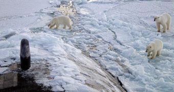 The Arctic is in danger of losing its ices by the end of this century