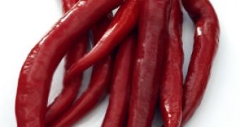 Cayenne pepper does wonders for the body, recent studies reveal