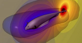 A model of the knifefish with red SV and blue MV. The backdrop represents a map of the fish's simulated self-generated electric field