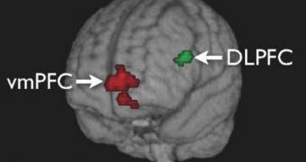 This 3-D projection of a transparent brain shows the regions of activation: the ventral medial prefrontal cortex (vmPFC) is depicted in red, and the dorsolateral prefrontal cortex (DLPFC) in green