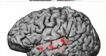 The human brain is capable of telling apart extremely similarly-sounding auditory stimuli