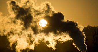 Greenhouse gas levels will remain steady over the next decades