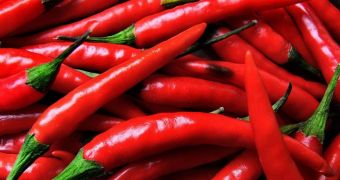 Scientists pin down the birthplace of the domesticated chili pepper