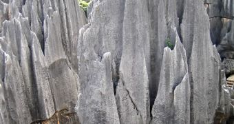 Columns in the Stone Forest National Park
