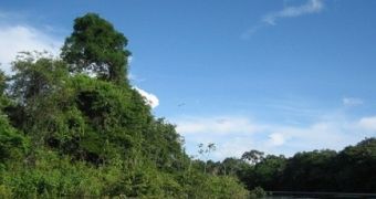 The Colombian Amazon Now Has Its Carbon Stocks Closely Monitored