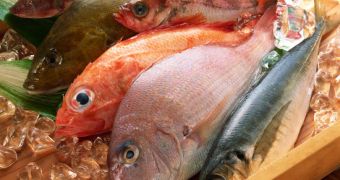 New report reveals the true cost of seafood consumed in the US