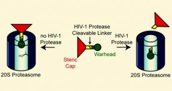 A 'Trojan horse' releases a cytotoxic small molecule only after cleavage by HIV-1 protease.