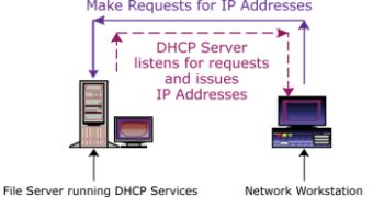 The DHCP Server