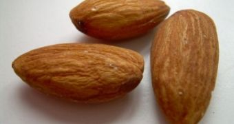 Almonds are one of today's most hyped "super foods"