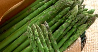Asparagus is a welcome addition to our daily diets
