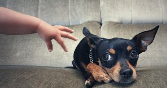 The Dog Aggression Test Needs Improvement