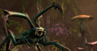 The Elder Scrolls Online Gets Dreugh Creation Details