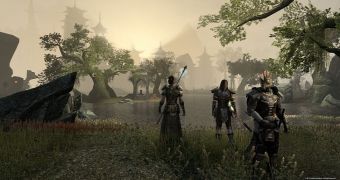 The Elder Scrolls Online isn't coming to consoles anytime soon