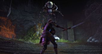 The Elder Scrolls Online Won't Be Skyrim 2, Director Says