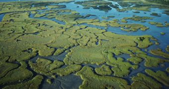US officials announce decision to invest in the Everglades