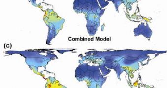 The map of global plant biodiversity