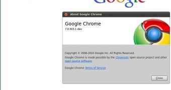 Google Chrome 7.0.503.1 dev for Linux