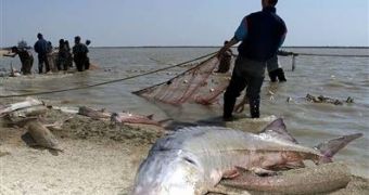 Authorities try to pun an end to illegal fishing