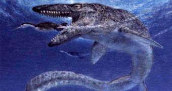 A mosasaur. The largest lizards ever lived in the sea during the dinosaur era