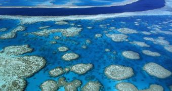 The Great Barrier Reef is now threatened by Australia's developing mining industry