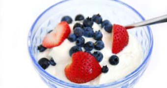 Yogurt is the perfect tasty / healthy combination