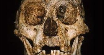 Skull of "Homo floresiensis"