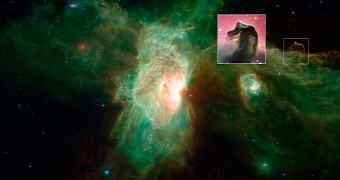 Astronomers snap new image of the Horsehead nebula