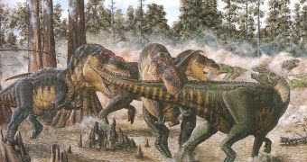 Tyranosaurus pack attacking a hadrosaur