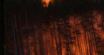 Fires that occur naturally are one of the main drivers of global warming