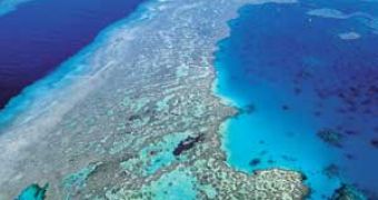 Aerial image of the Great Coral Barrier